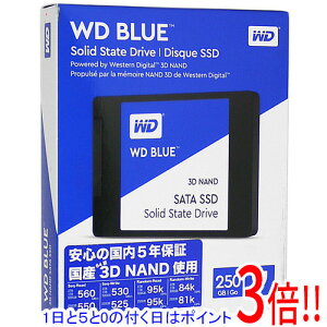 �y1����5.0�̂����A18���̓|�C���g3�{�I�zWestern Digital�� ����SSD 250GB WD Blue 3D NAND SATA WDS250G2B0A