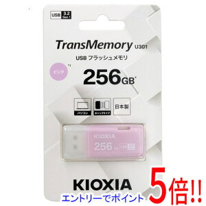y15.0̂A18̓|Cg3{IzLINVA USBtbV TransMemory U301 KUC-3A256GP 256GB sN