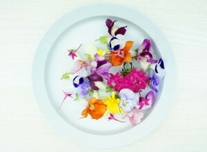 Ђ₳@S_ĚłEyȂEVNŒE苟EmÂŔ|SiBN[[̒ŋ󒲁ALEDȂǂgĊR