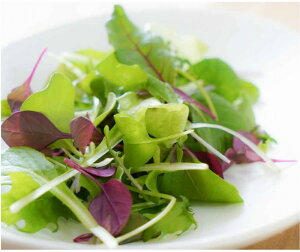 Ђ₳@S_ĚłEyȂEVNŒE苟EmÂŔ|SiBN[[̒ŁA󒲁ALEDȂǂgĊ