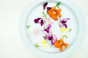 Ђ₳@S_ĚłEyȂEVNŒE苟EmÂŔ|SiBN[[̒ŁA󒲁ALEDȂǂgĊ