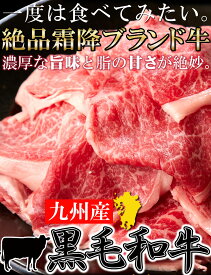 一度は食べたい!!絶品霜降ブランド牛☆九州産黒毛和牛A4・A5等級【無選別】切り落とし500g