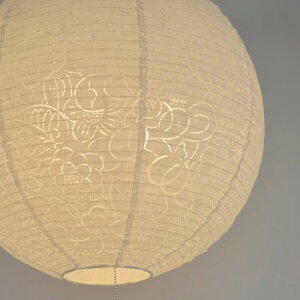 ZaNX komorebiSLP3-1061 paVF[h