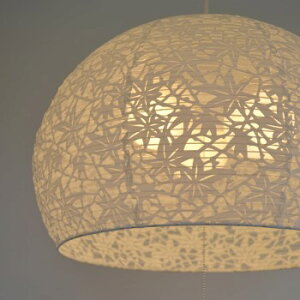 ZaNX komorebigtSLP3-1083 paVF[h