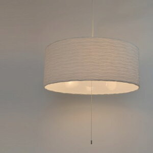 プリーツ VLP-1080 舞姫交換用和紙シェード