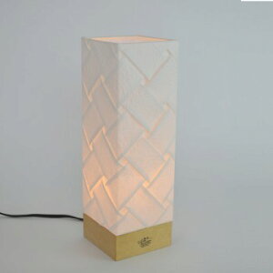 v[c VS-3023orihime-DP-