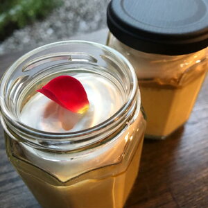 vvZX4BOXiⓀsjuHׂ@ǔ @Ƃ̊肢 ׂJvvZX H׉̂ǂ Z  v ł ①(