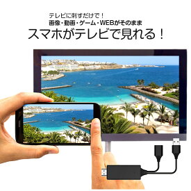 スマホ テレビ 接続 ケーブル iPhone iPad ミラーリングケーブル 大画面 HDMI 動画 写真 画像 V-MCS02 VERTEX ヴァーテックス