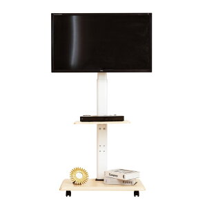 y77%OFFN[|p3445~zerX^h TVX^h It/ȂI\ Ǌ| 32` 65C`Ή LX^[t Ǌ er E] ω׏d40kg nC^Cv er Xe