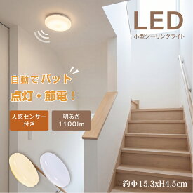 LED コンパクト センサーライト コンセント 人感センサー 付き ライト 節電 自動点灯 明るさ 感知 夜間ライト 小型 薄型 常夜灯 補助灯 室内照明 室内 階段 玄関 廊下 転倒防止 安全 寝室ex-b01016
