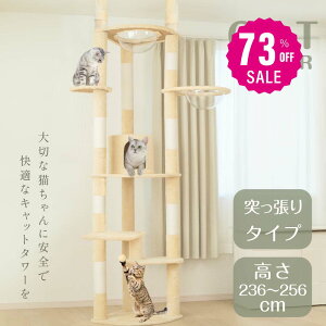 y73%OFFN[|p6909~zLbg^[ ˂ X FD L^[  ܂Ƃ  ^L R 萫Q LnEX lR Lp ^s  g-00007