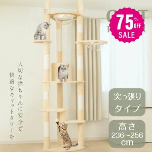 y75%OFFN[|p6398~zLbg^[ ˂ X FD L^[  ܂Ƃ  ^L R 萫Q LnEX lR Lp ^s  g-00007