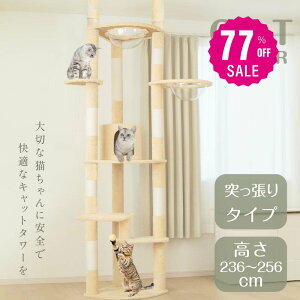 y77%OFFN[|p5886~zLbg^[ ˂ X FD L^[  ܂Ƃ  ^L R 萫Q LnEX lR Lp ^s  g-00007