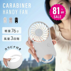 _XpZ81%OFF545~^nfBt@ Jri 啗 É usb gѐ@ usb@  @ nfB[t@ |[^ut@ 莝@ ~j@ y 