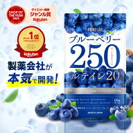 ブルーベリー ルテイン サプリ 【楽天1位獲得】 サプリメント (栄養機能食品 ビタミン B2 B6 B12) ブルー…