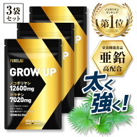 ノコギリヤシ サプリ 【栄養機能食品 亜鉛】 ケラチン サプリ サプリメント 3袋セット ノコギリヤシ 1260…