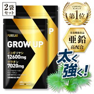 ノコギリヤシ サプリ 【栄養機能食品 亜鉛】 ケラチン サプリ サプリメント 2袋セット ノコギリヤシ 1260…