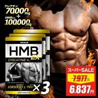 【スーパーSALE★限定特価】 HMB クレアチン プラス 3袋セット 【3冠達成★金賞受賞】COCOLAB hmb サプリ…