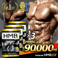 HMB サプリ 3袋セット 【楽天3冠】 hmb ex サプリ 錠剤 男性 女性 タブレット 30～60日分 アミノ酸サプリ…
