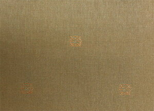 EXCY 4600 CfBAbhyF: 48z P10cm /[EXCY̗n]