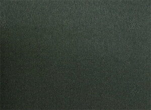 EXCY 5600 _[NO[yF: 67z P10cm /[EXCY̗n]