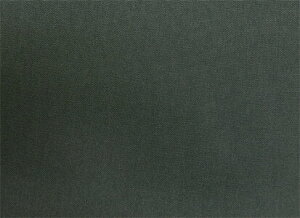 EXCY 8900 _[NO[yF: 16z P10cm /[EXCY̗n]