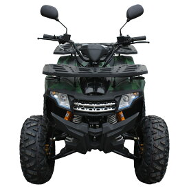 バギー 四輪 125cc ミニ ATV ヒッチメンバー付き 4サイクルエンジン搭載 RZ-G-ZERO GT