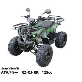 【リニューアル】バギー 四輪 125cc ミニ ATV YH 4サイクルエンジン搭載 RZ-XJ-RR【タイヤもスケールアップし装備も充実！】