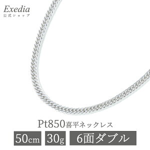 Pt850 v`i850 약`F[lbNX 50cm 30g 6ʃ_u ǌ荏 z[}[N Y fB[X WG[ LwC