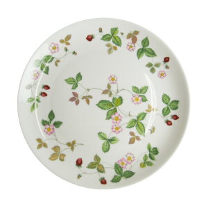 EFbWEbh (WEDGWOOD) ChXgx[ JWA N[vv[g 23cm