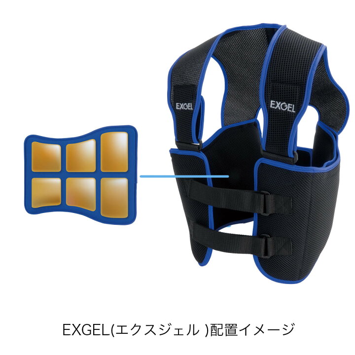 楽天市場】エクスジェル メーカー公式 EXGEL リブプロテクターベスト 