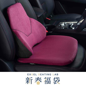 ◇ 福袋 ◇エクスジェル EXGEL HUD2046 ハグドライブサポートパッドワイド46セット 腰痛対策 ギフト 運転クッション ドライブクッション バッククッション 長距離ドライブ 車 クッション ドライブ 運転席 運転 腰 腰痛 お尻 痛み 車用 ジェル 長距離 グッズ