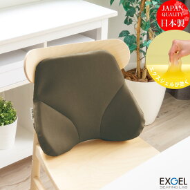 エクスジェル メーカー公式 EXGEL ザ・アウル バッククッション ハイエスト OWT31 ギフト クッション ジェルクッション ゲル 腰痛 オフィス 椅子 チェア テレワーク デスクワーク 在宅ワーク 腰 日本製 椅子用クッション 骨盤 体圧分散 チェアークッション 腰痛クッション