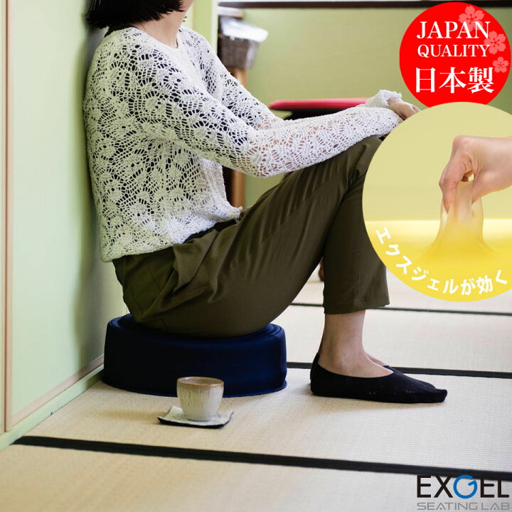 楽天市場】エクスジェル EXGEL 床プニ PUN30 クリスマス プレゼント 