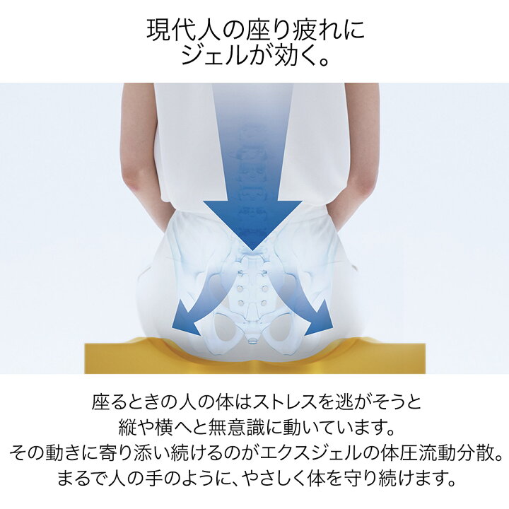 楽天市場】ジェルクッション 腰痛対策 低反発 EXGEL モニートREHA 