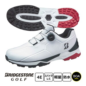 uaXg StV[Y Y [EXpCN oC^[ Ch SH2507 WK × 4E XpCNX {A _C 2025Nf BRIDGESTONE GOLF