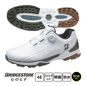 uaXg StV[Y Y [EXpCN oC^[ Ch SH2507 WL ×I[u 4E XpCNX {A _C 2025Nf BRIDGESTONE GOLF