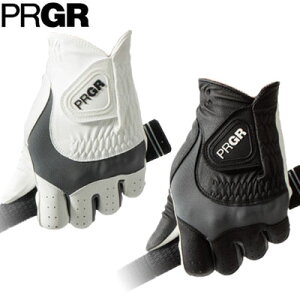 PRGR(vMA) Y nCEObvEnh O[u PG-319 (p)