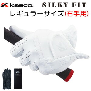 Kasco(LXR) SILKY FIT -VL[tBbg- Y St O[u GF-17251R (M[TCY/Ep) =