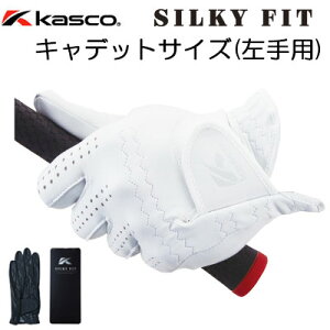 Kasco(LXR) SILKY FIT -VL[tBbg- Y St O[u GF-17252 (LfbgTCY/p) =