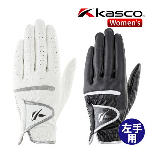 LXR DNA SILICONE O[u p fB[X SF-2312L VR[ St 2023Nf Kasco