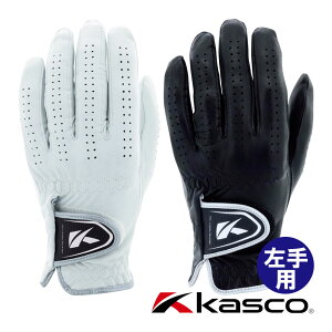 �L���X�R DNA SHEEP �O���[�u ����p �����Y GF-2012 �V�R��v �S���t Kasco