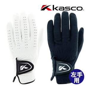 LXR DNA SUEDE O[u p Y SF-2010 XG[hv St Kasco