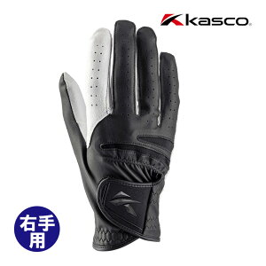 LXR imX^bh O[u Y Ep SF-2518R ubN×zCg NANO STUD St 2025Nf Kasco