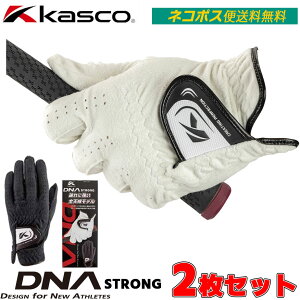 �l�R�|�X�֑������� 2���Z�b�g �L���X�R DNA STRONG �S���t �O���[�u ����p �����Y SFST-2312SC �S�V��^ Kasco �f�B�[�G�k�G�[ �X�g�����O
