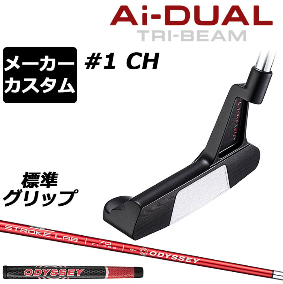 先行予約】【3月20日以降順次発送予定】 オデッセイ Ai-DUAL TRI-BEAM 