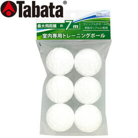 Tabata(タバタ) トレーニングボール フォームアップボール GV0306