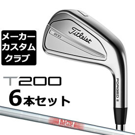 【メーカーカスタム】タイトリスト T200 2023 アイアン 右用 6本セット(#5-P) N.S.PRO 880 AMC スチールシャフト Titleist 日本正規品