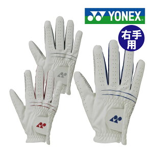 lbNX SV^nCubhO[u Ep Y GL-250L St YONEX
