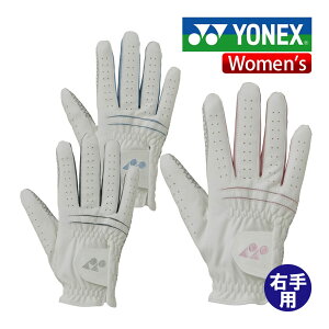 lbNX SV^nCubhO[u Ep fB[X GL-F250L St YONEX